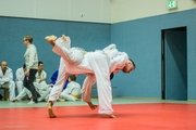 Judo-Weihnachtsturnier_2015_018