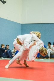 Judo-Weihnachtsturnier_2015_039