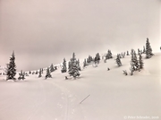 Skilanglauf in Norwegen_2016_007