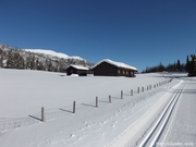 Skilanglauf in Norwegen_2016_011