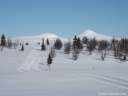 Skilanglauf in Norwegen_2016_013