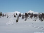 Skilanglauf in Norwegen_2016_013