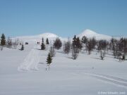 Skilanglauf in Norwegen_2016_013