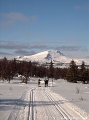 Skilanglauf in Norwegen_2016_028