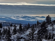 Skilanglauf in Norwegen_2016_035