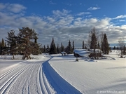 Skilanglauf in Norwegen_2016_038
