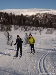 Skilanglauf in Norwegen_2016_045