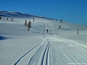 Skilanglauf in Norwegen_2016_046