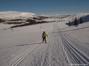 Skilanglauf in Norwegen_2016_047