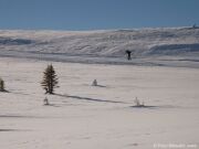 Skilanglauf in Norwegen_2016_048