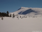 Skilanglauf in Norwegen_2016_049