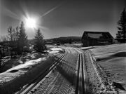 Skilanglauf in Norwegen_2016_054