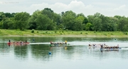 uni-open Drachenboot_2016_040